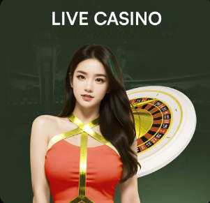 2026年4月4日台TPBL台湾啤酒云豹vs高雄水族馆直播【24直播网】